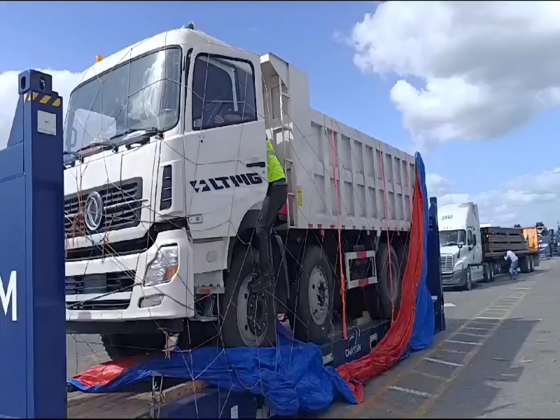 حالة التصدير: تلقى العميل الدومينيكي شاحنة قلابة LMDT250 25Ton LTMG