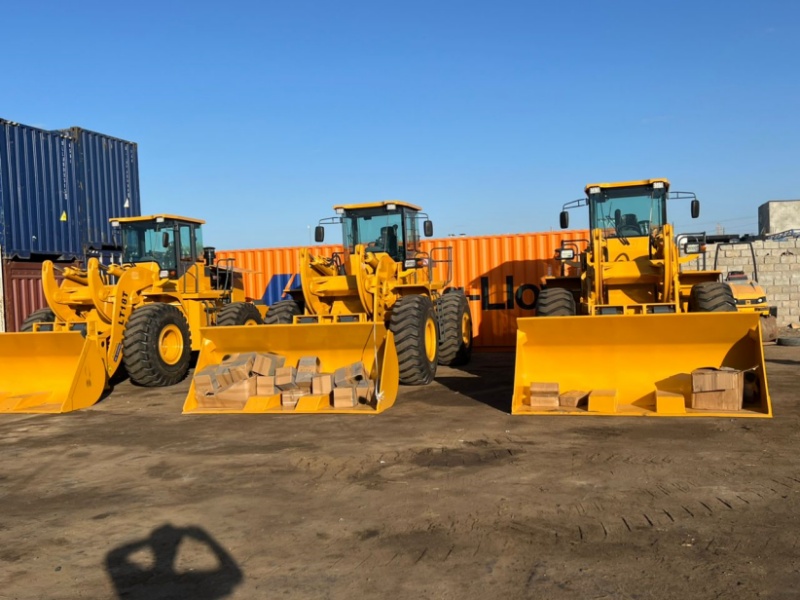 ليبيا - رافعة شوكية